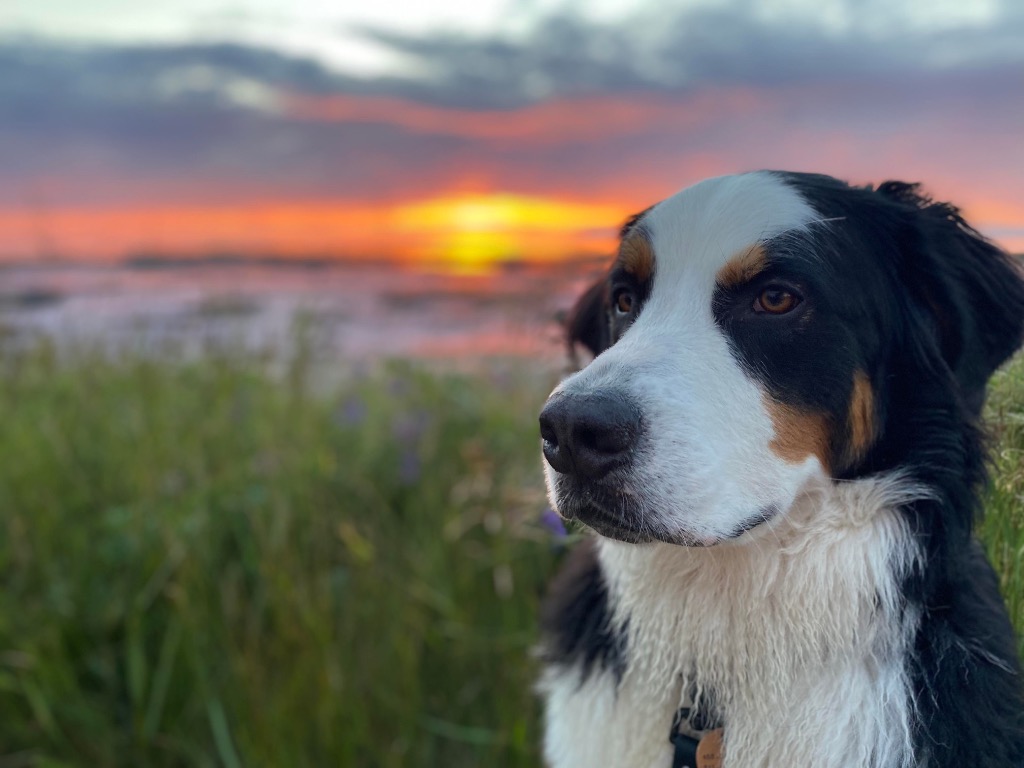 Code de vie et politique